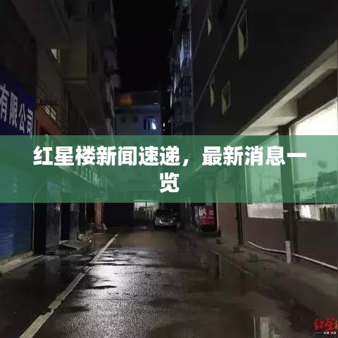 红星楼新闻速递,最新消息一览