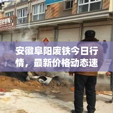 安徽阜阳废铁今日行情,最新价格动态速递