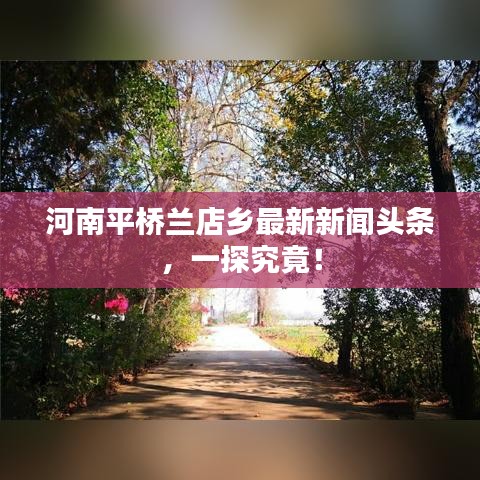 河南平桥兰店乡最新新闻头条,一探究竟!
