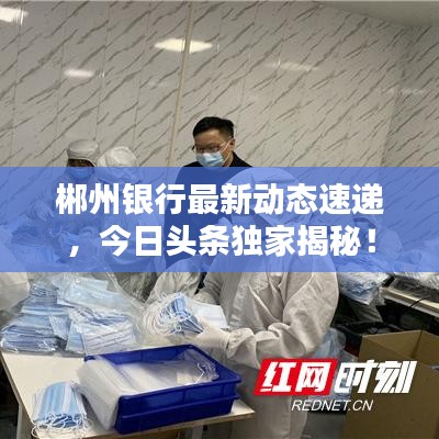 糖果祖玛 单机版同野马棋牌官方下载，创意工作的得力助手与策略版的新定义