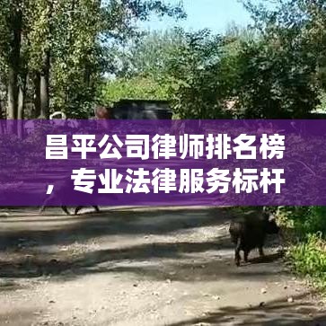 昌平公司律师排名榜,专业法律服务标杆大揭秘!