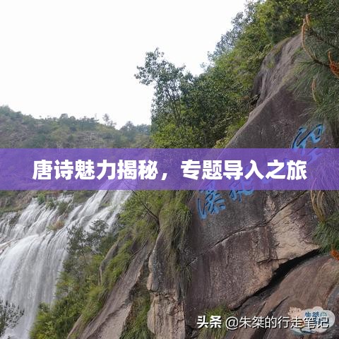 唐诗魅力揭秘，专题导入之旅