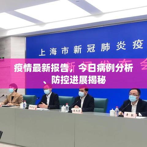 疫情最新报告，今日病例分析、防控进展揭秘