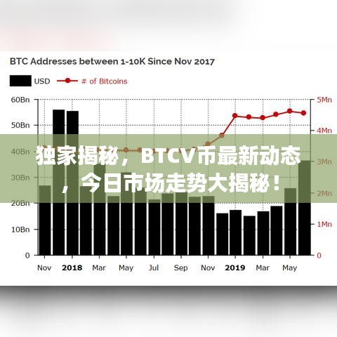 独家揭秘，BTCV币最新动态，今日市场走势大揭秘！