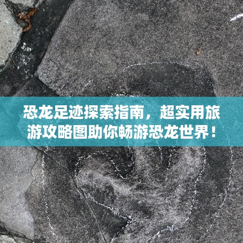 恐龙足迹探索指南，超实用旅游攻略图助你畅游恐龙世界！