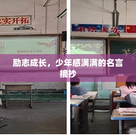 励志成长，少年感满满的名言摘抄