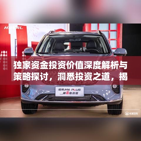 独家资金投资价值深度解析与策略探讨，洞悉投资之道，揭秘财富增长秘籍