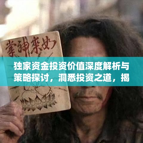 独家资金投资价值深度解析与策略探讨,洞悉投资之道,揭秘财富增长秘籍