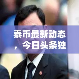 模拟小偷官方下载,实地数据验证策略_QHD_v3.357