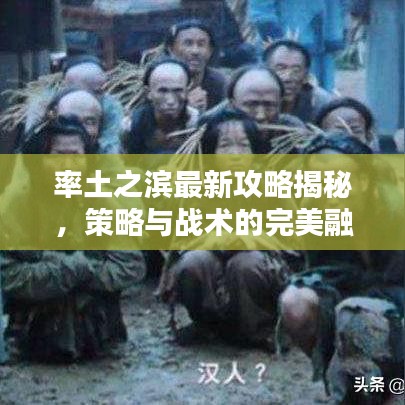 率土之滨最新攻略揭秘,策略与战术的完美融合!