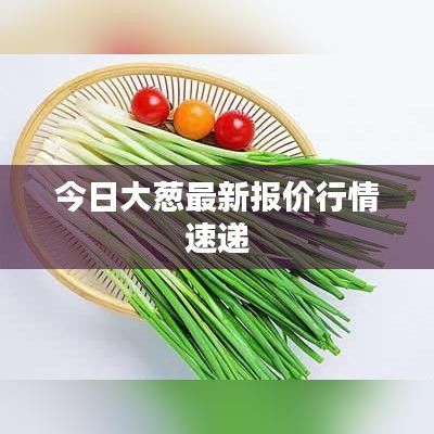 今日大葱最新报价行情速递