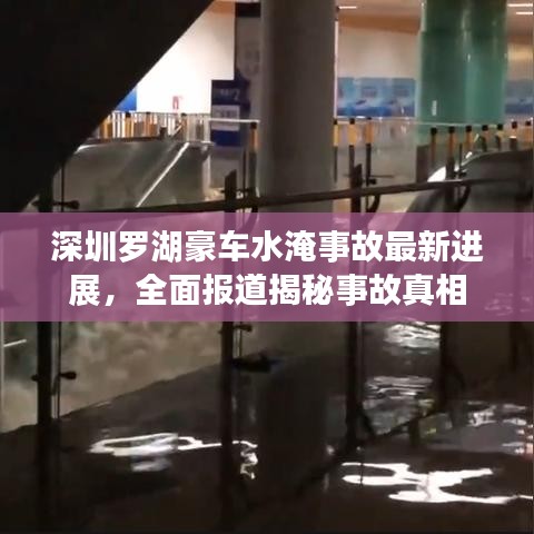 深圳罗湖豪车水淹事故最新进展,全面报道揭秘事故真相