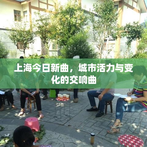 上海今日新曲,城市活力与变化的交响曲