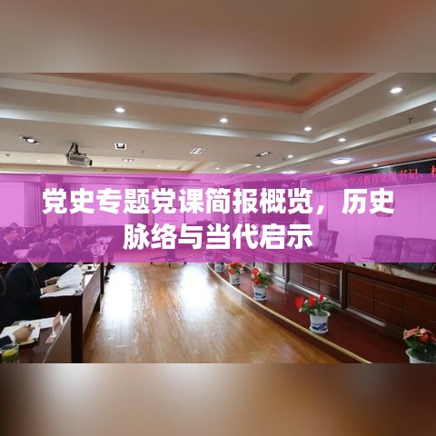 党史专题党课简报概览，历史脉络与当代启示