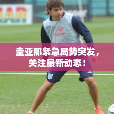 圭亚那紧急局势突发，关注最新动态！