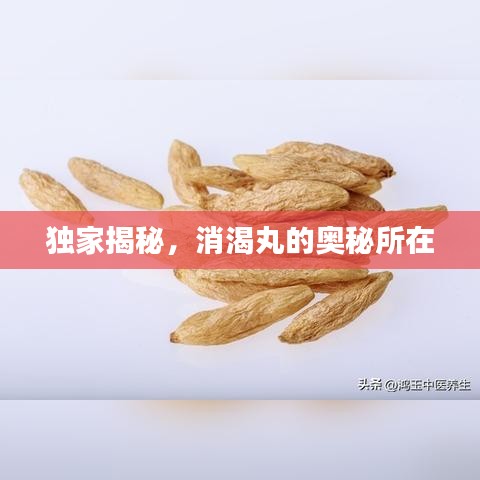 独家揭秘,消渴丸的奥秘所在