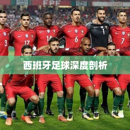 西班牙足球深度剖析