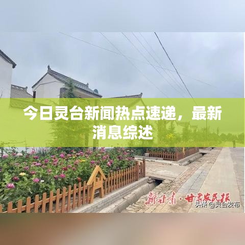 今日灵台新闻热点速递，最新消息综述