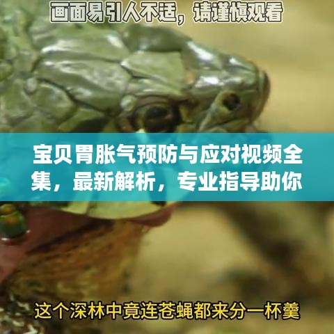 宝贝胃胀气预防与应对视频全集,最新解析,专业指导助你轻松应对
