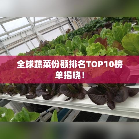 全球蔬菜份额排名TOP10榜单揭晓!