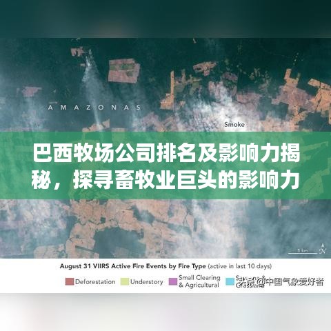 巴西牧场公司排名及影响力揭秘，探寻畜牧业巨头的影响力与地位