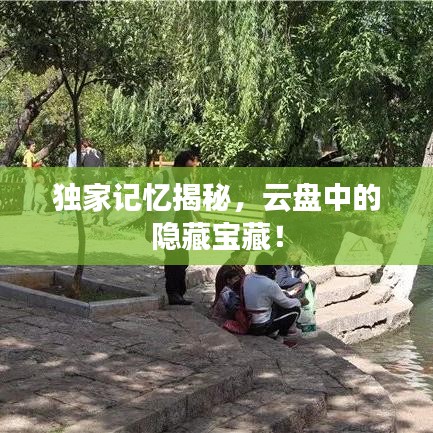 独家记忆揭秘,云盘中的隐藏宝藏!