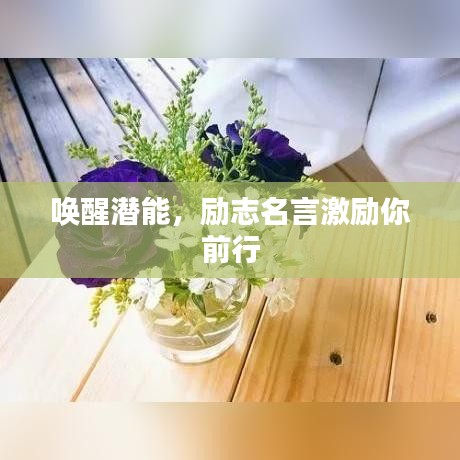 唤醒潜能,励志名言激励你前行