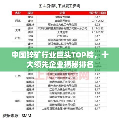 中国锌矿行业巨头TOP榜，十大领先企业揭秘排名