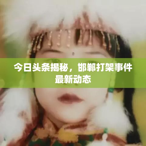 今日头条揭秘,邯郸打架事件最新动态