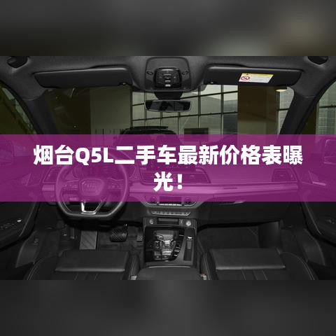 怀真抱素 第5页