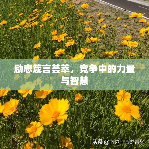 励志箴言荟萃,竞争中的力量与智慧