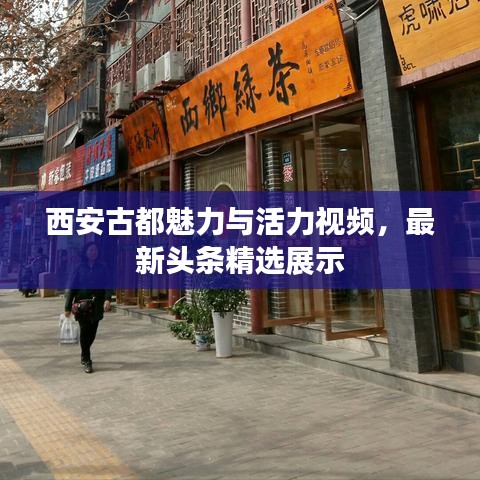 西安古都魅力与活力视频,最新头条精选展示