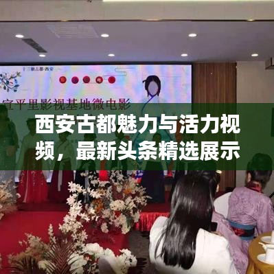 西安古都魅力与活力视频,最新头条精选展示