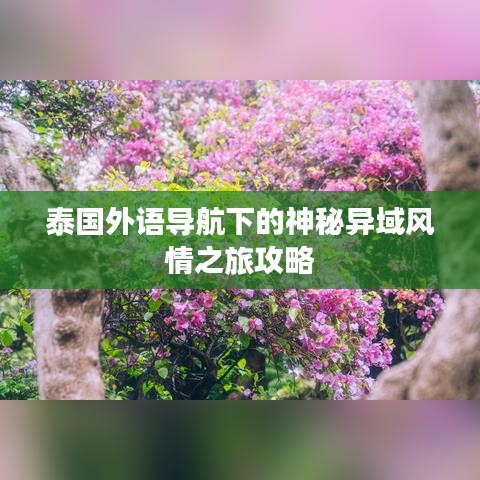 泰国外语导航下的神秘异域风情之旅攻略