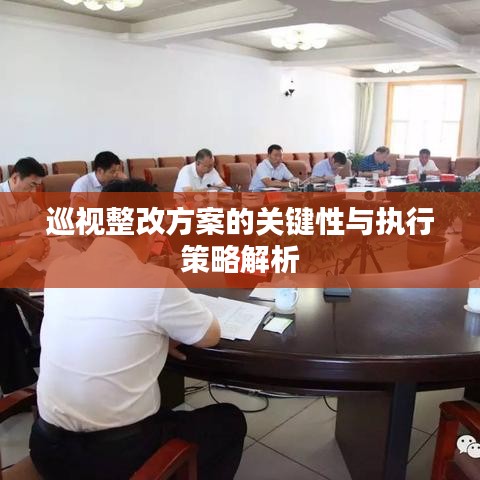 巡视整改方案的关键性与执行策略解析