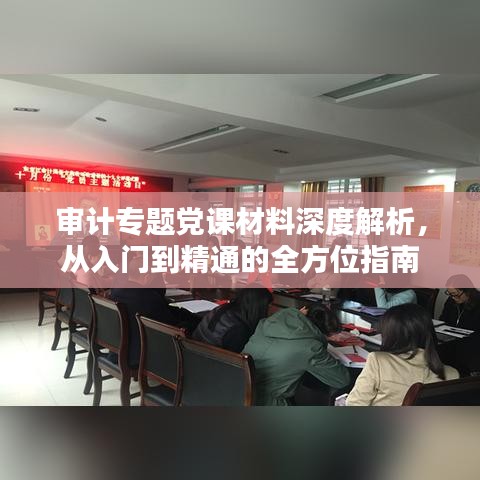 审计专题党课材料深度解析，从入门到精通的全方位指南