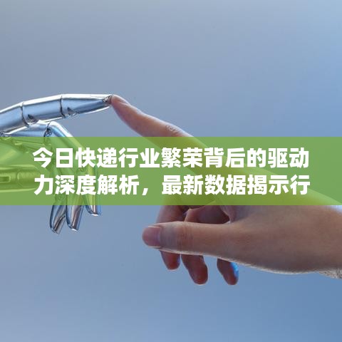 今日快递行业繁荣背后的驱动力深度解析,最新数据揭示行业新动向