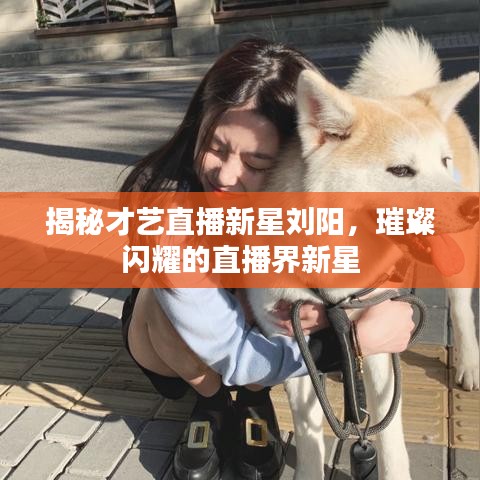 揭秘才艺直播新星刘阳,璀璨闪耀的直播界新星