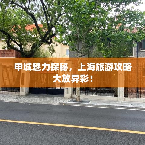 申城魅力探秘，上海旅游攻略大放异彩！