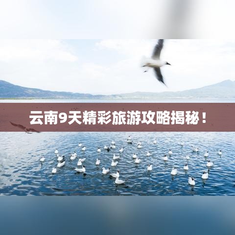 云南9天精彩旅游攻略揭秘!