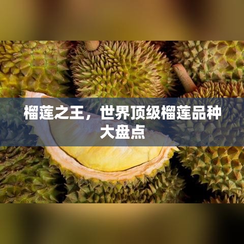 榴莲之王，世界顶级榴莲品种大盘点