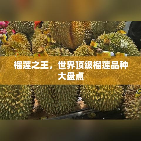 榴莲之王,世界顶级榴莲品种大盘点