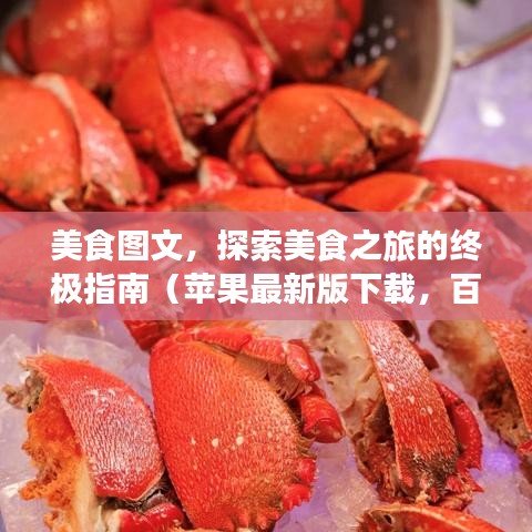 美食图文，探索美食之旅的终极指南（苹果最新版下载，百度收录标准）