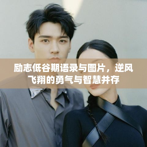 励志低谷期语录与图片，逆风飞翔的勇气与智慧并存