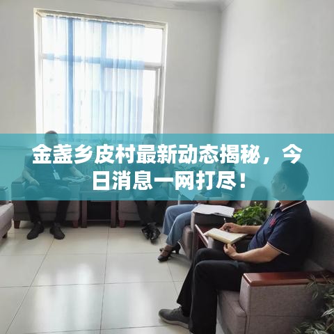 金盏乡皮村最新动态揭秘，今日消息一网打尽！