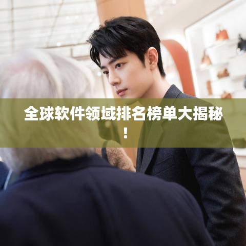 全球软件领域排名榜单大揭秘！