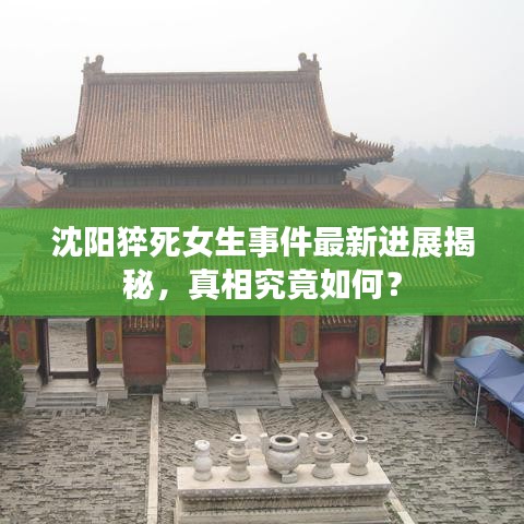 沈阳猝死女生事件最新进展揭秘，真相究竟如何？