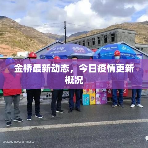 金桥最新动态,今日疫情更新概况