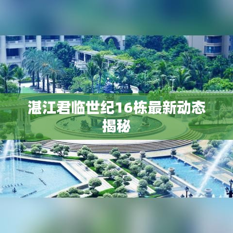 天易棋牌官方下载,适用性计划解读|复古版_v3.548