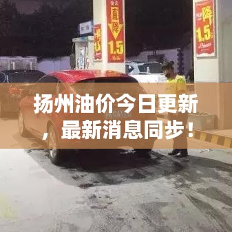 扬州油价今日更新，最新消息同步！
